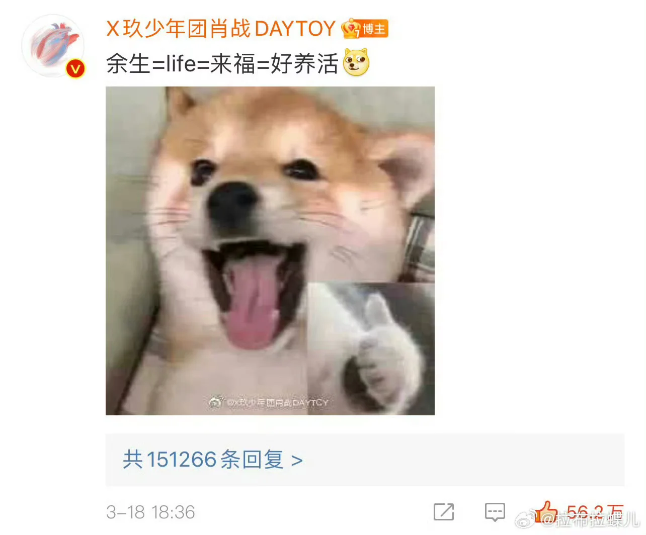 汇总一些肖战抽象猫猫狗狗表情包大户🤣