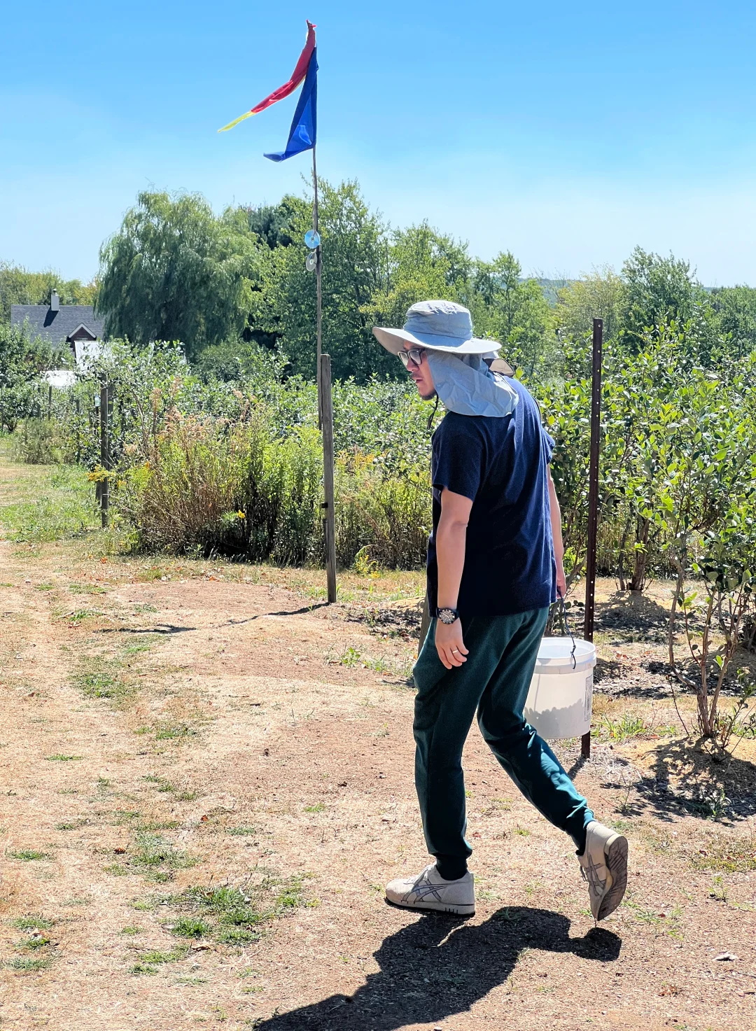 夏天要溜走啦！再不摘蓝莓分分钟蔫成表情包