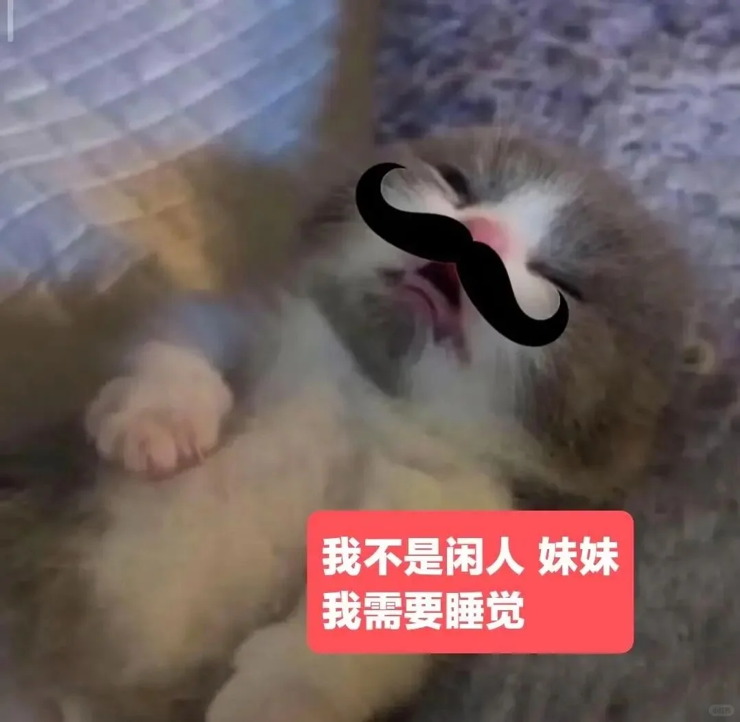 审美积累——小猫表情包