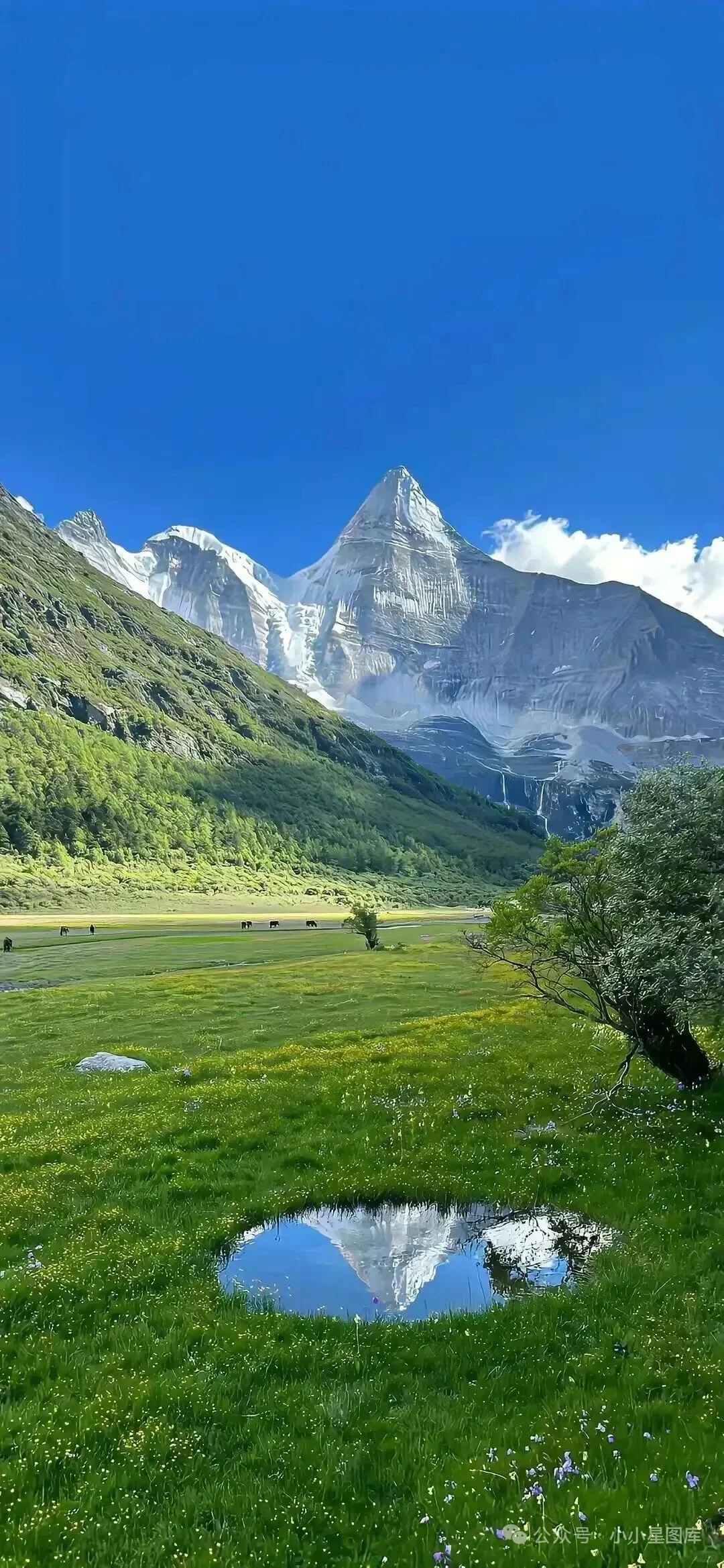 敲好看的风景壁纸