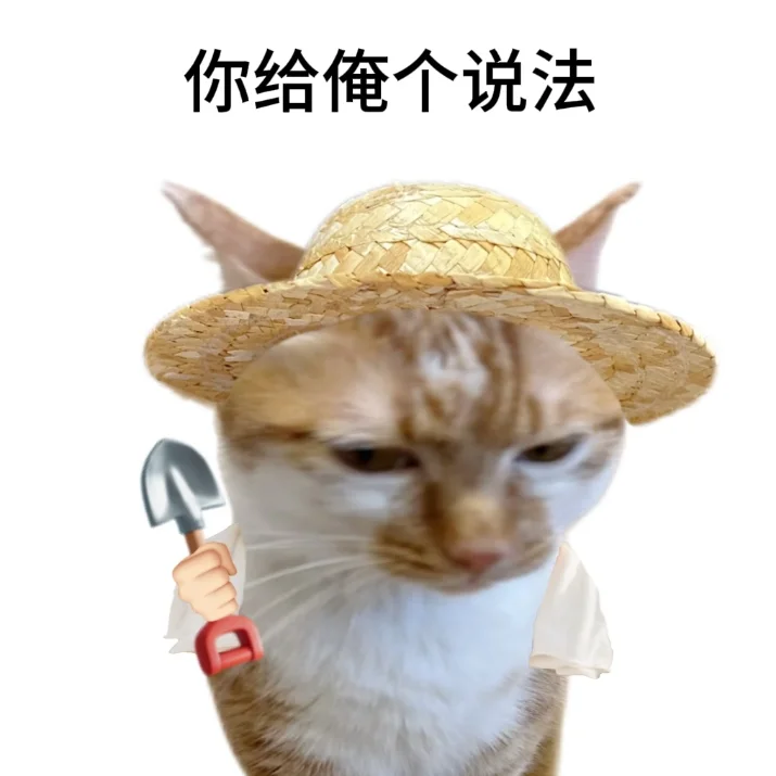 老实人专用表情包献给各位