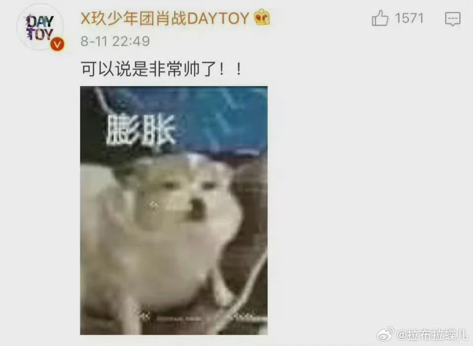汇总一些肖战抽象猫猫狗狗表情包大户🤣