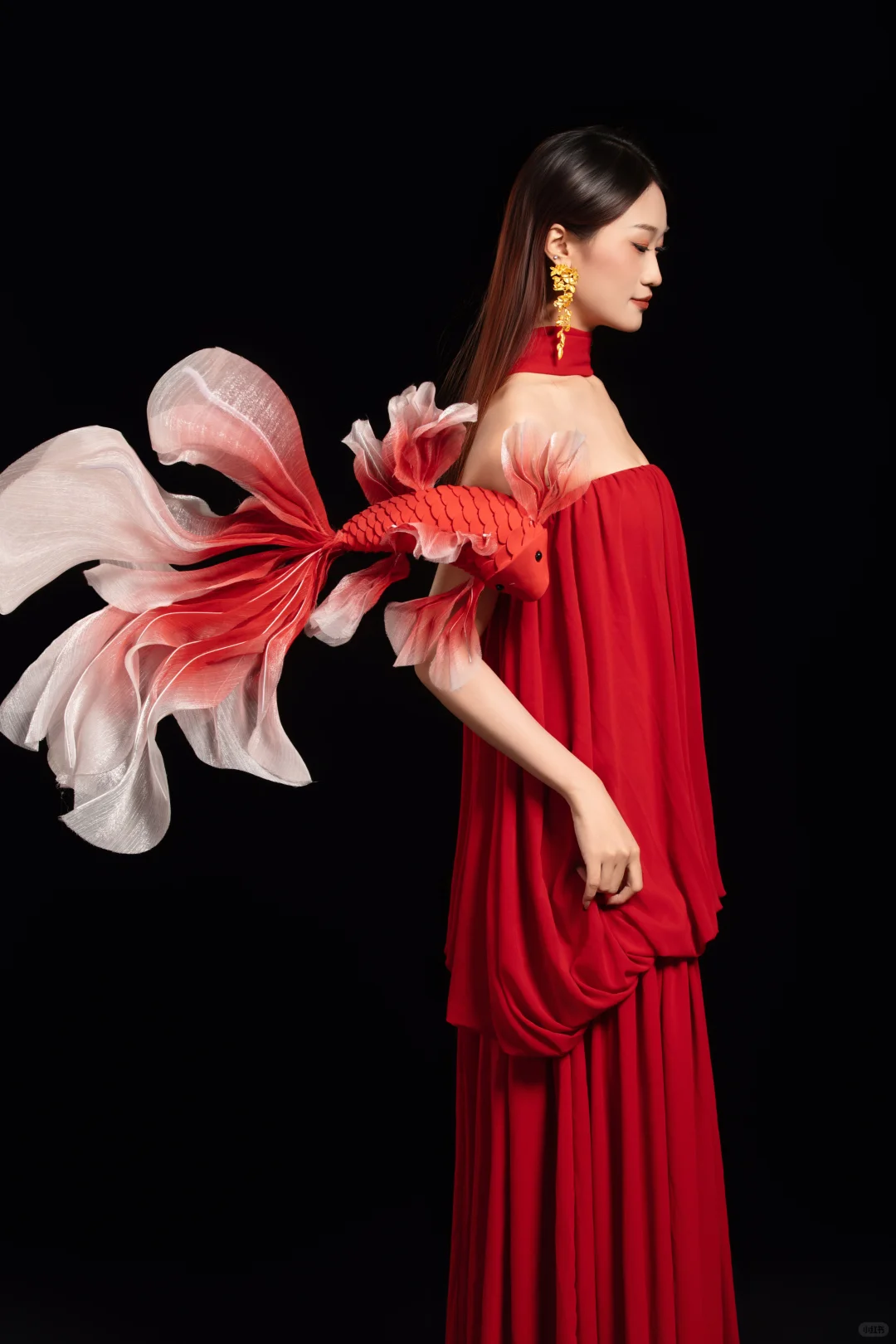 最近都爱拍红色 锦鲤写真