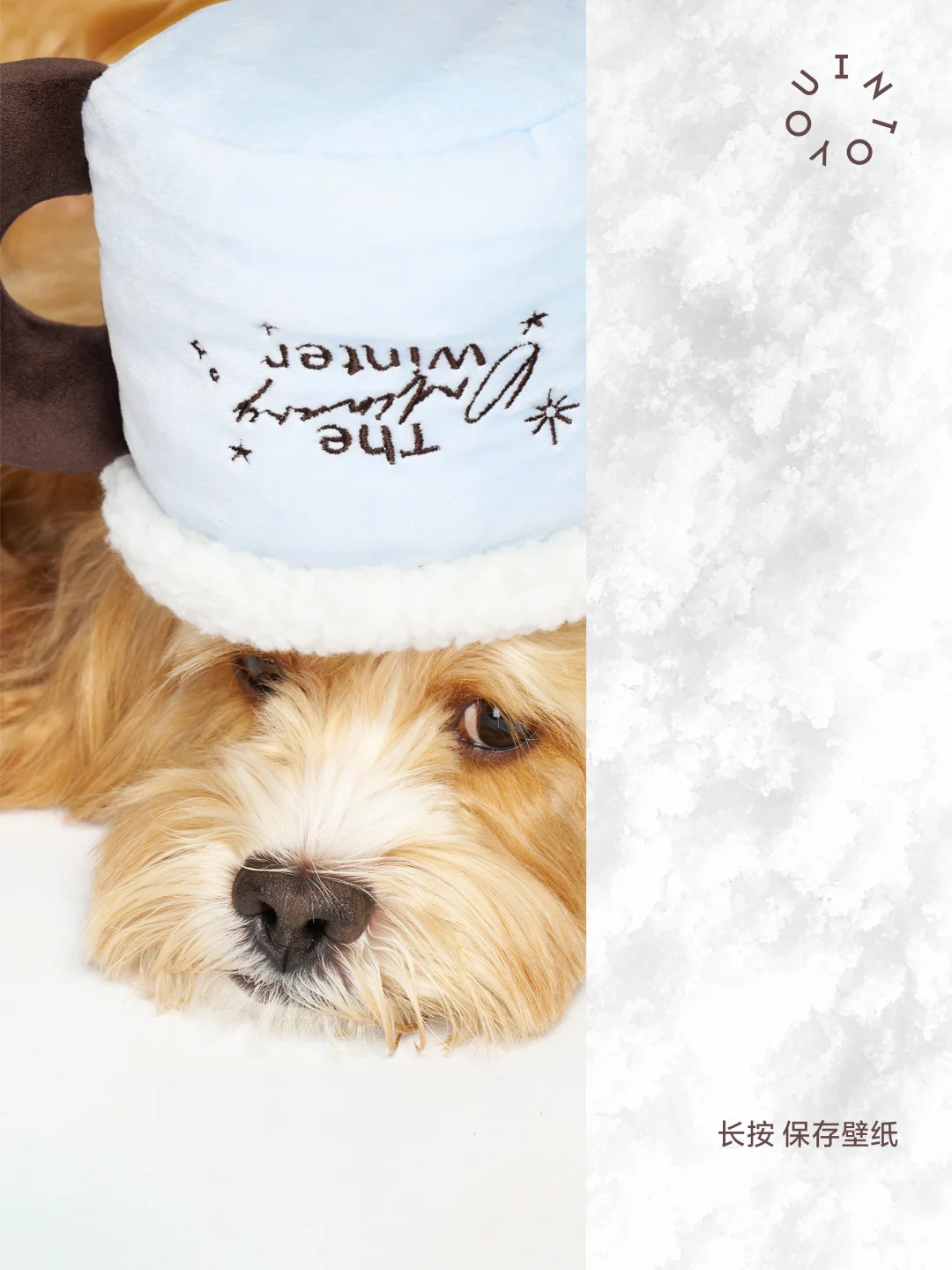 cute as a puppy | 请用宠「雾」壁纸