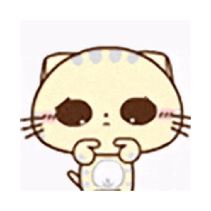 CC猫表情包｜这一路的麻辣鲜香只有自己知道