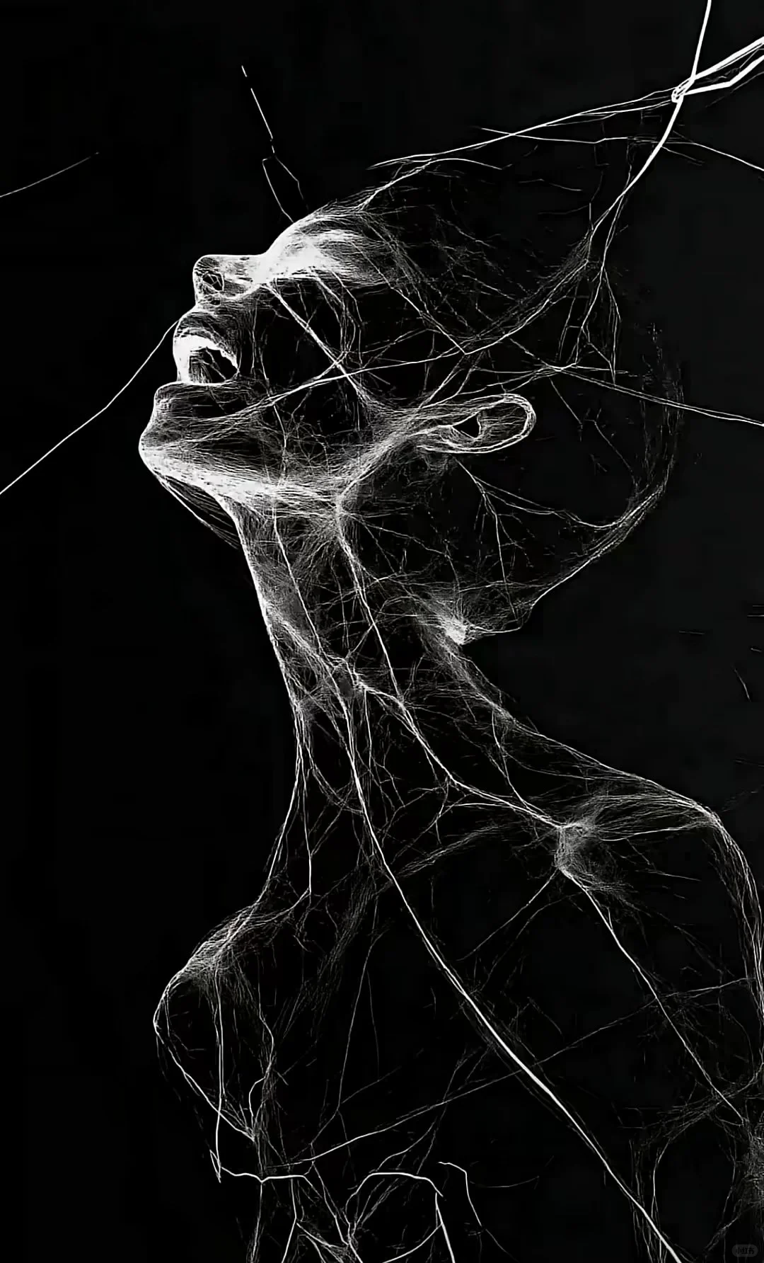 一眼钟情的背景图