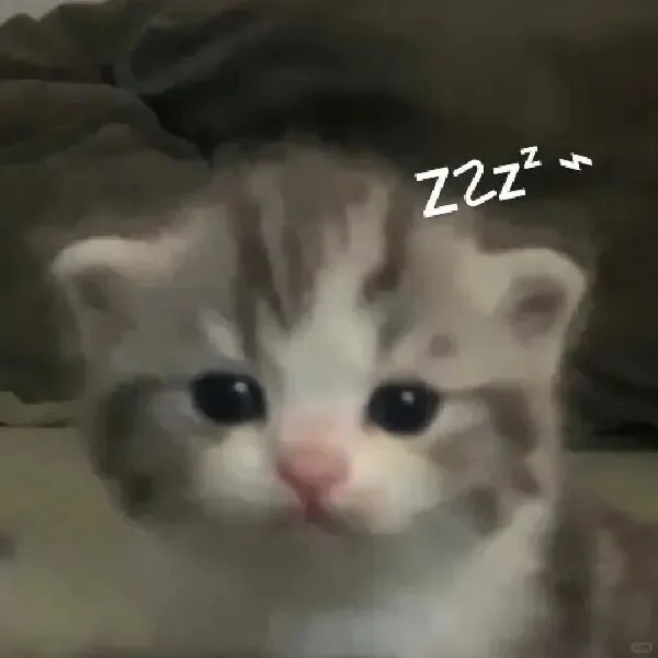 审美积累——小猫表情包