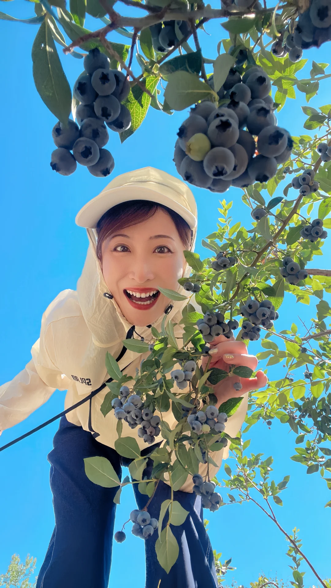 夏天要溜走啦！再不摘蓝莓分分钟蔫成表情包