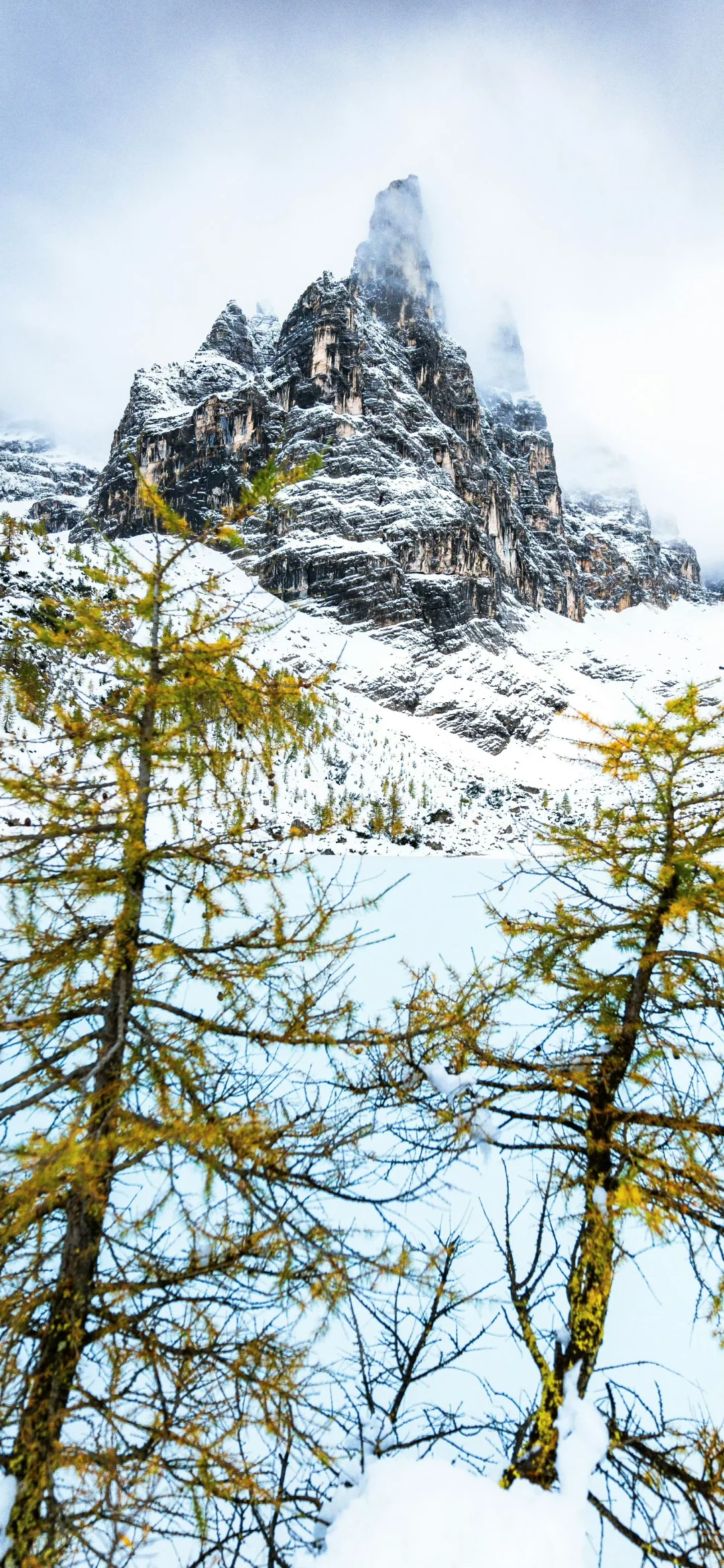 治愈系风景、治愈系壁纸、治愈系壁纸