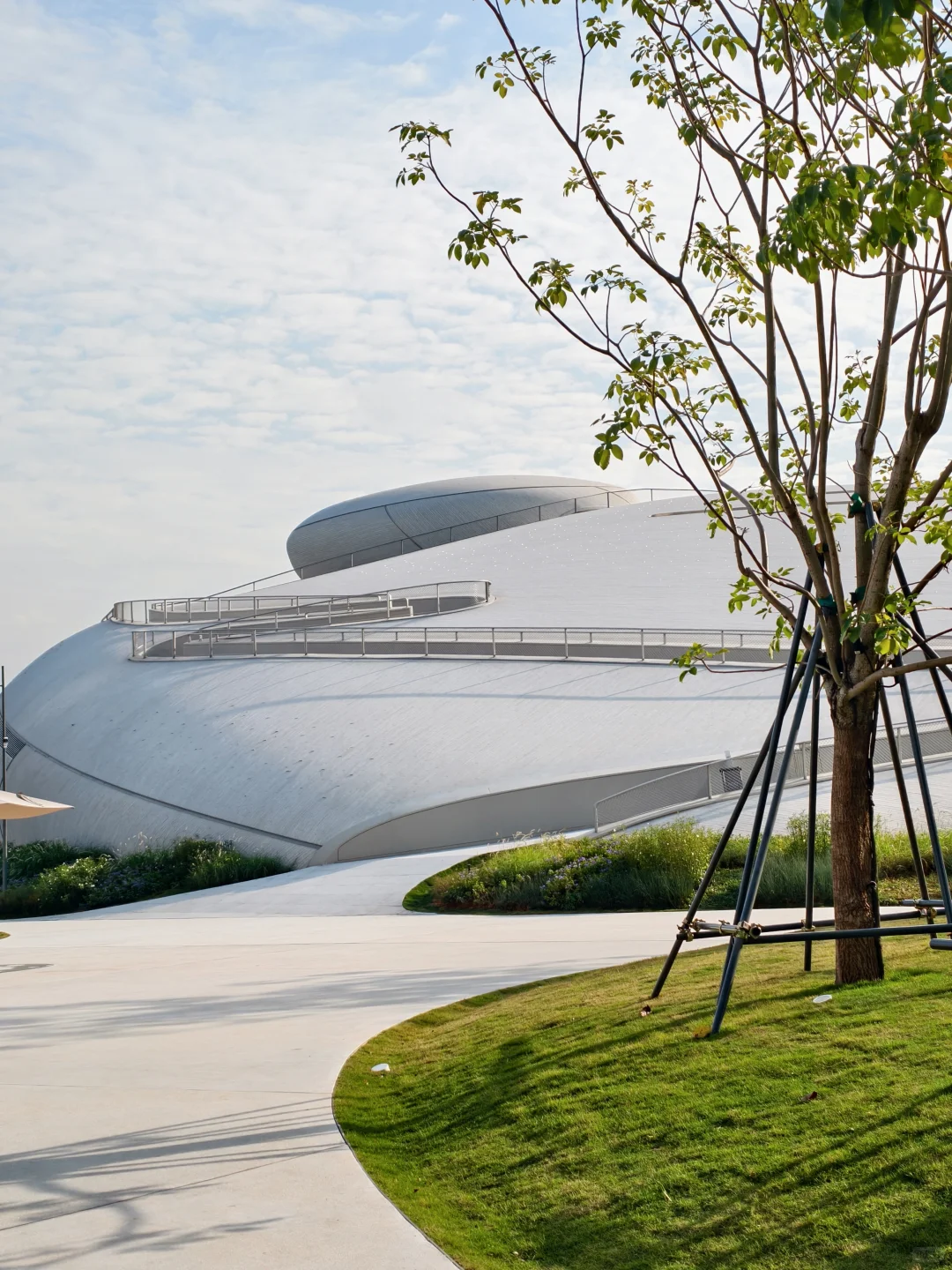 深圳湾文化广场限定版手机壁纸🐾