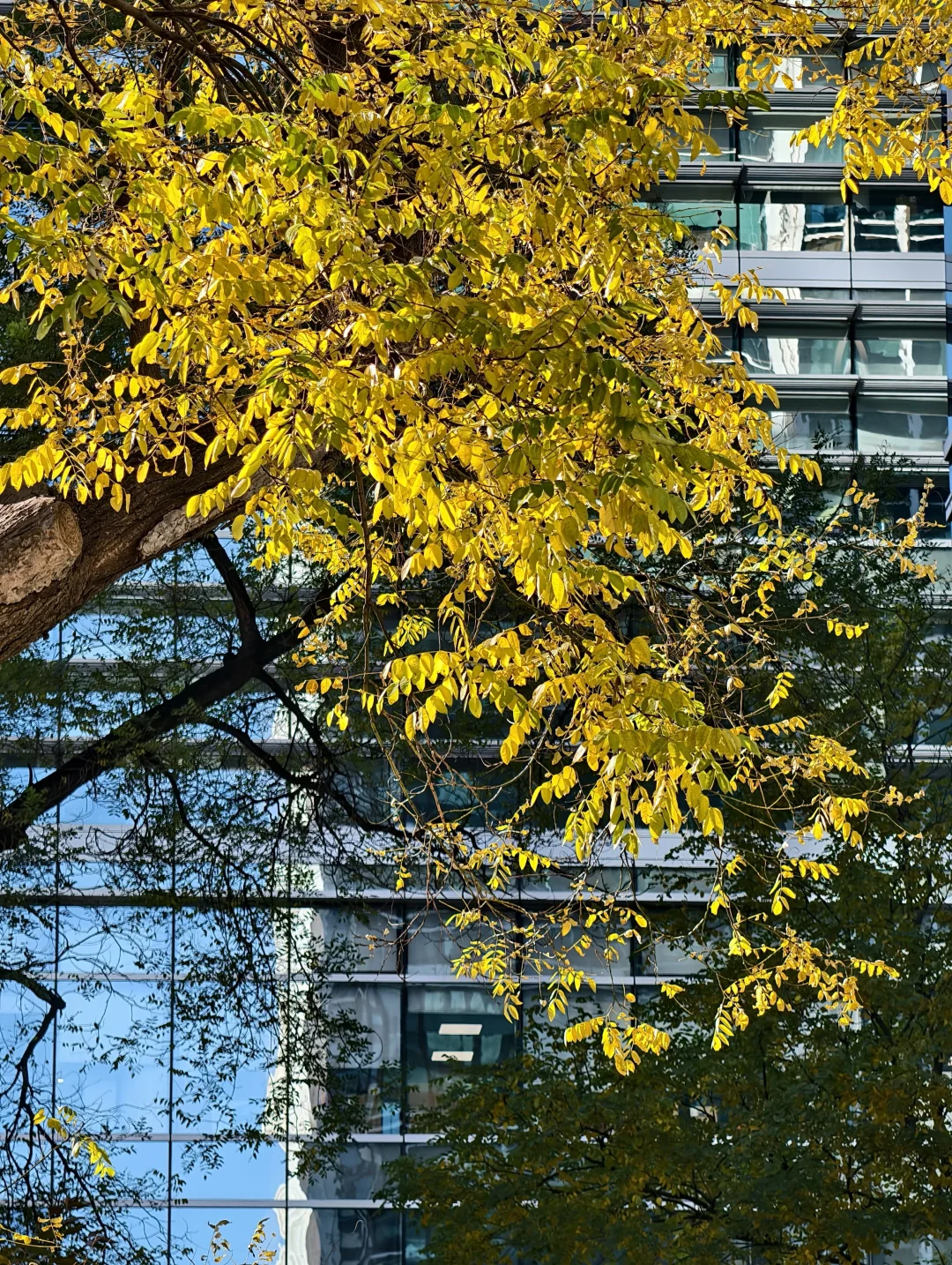 33岁 未婚未育 我毫无规划的人生