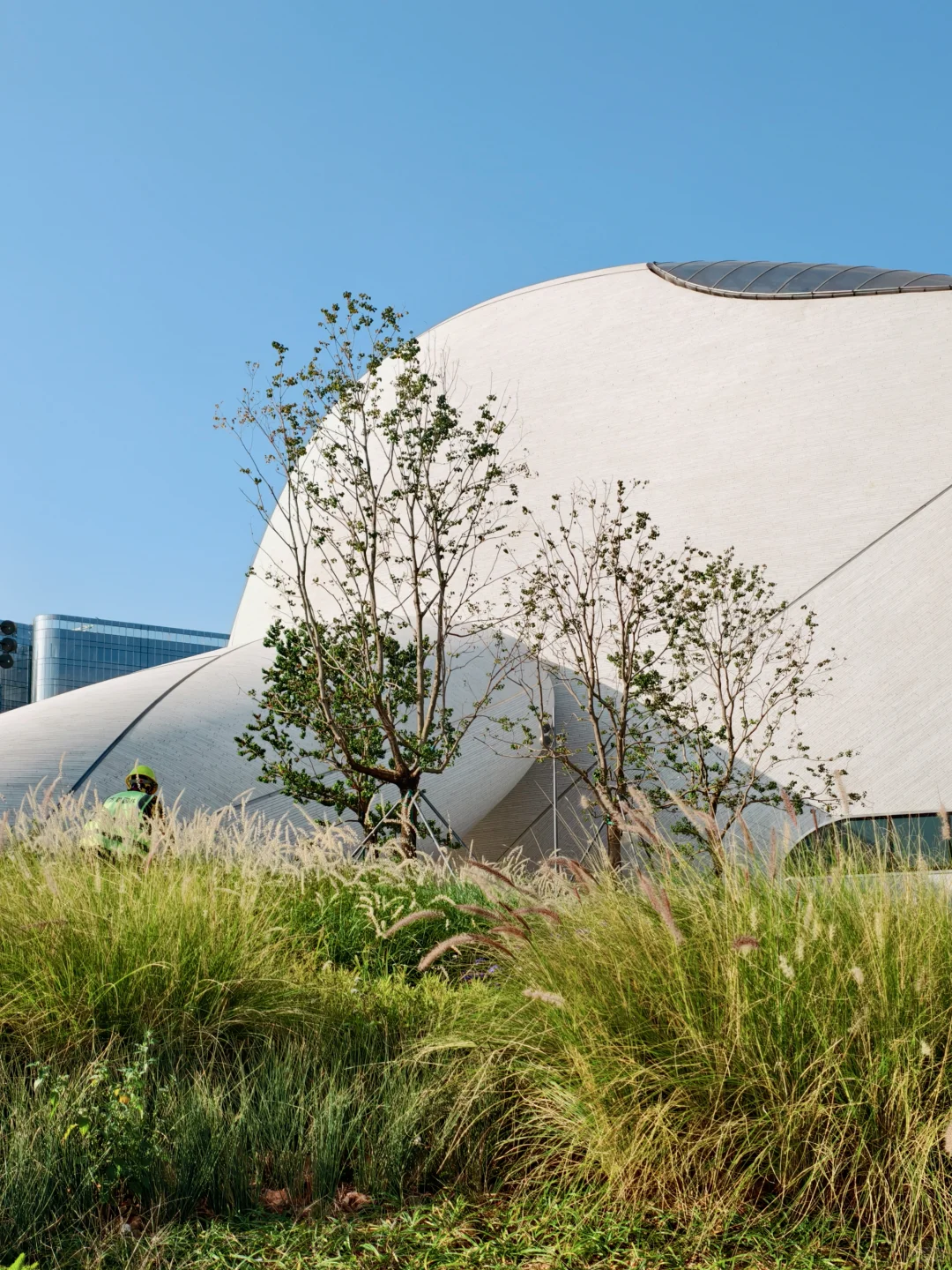 深圳湾文化广场限定版手机壁纸🐾