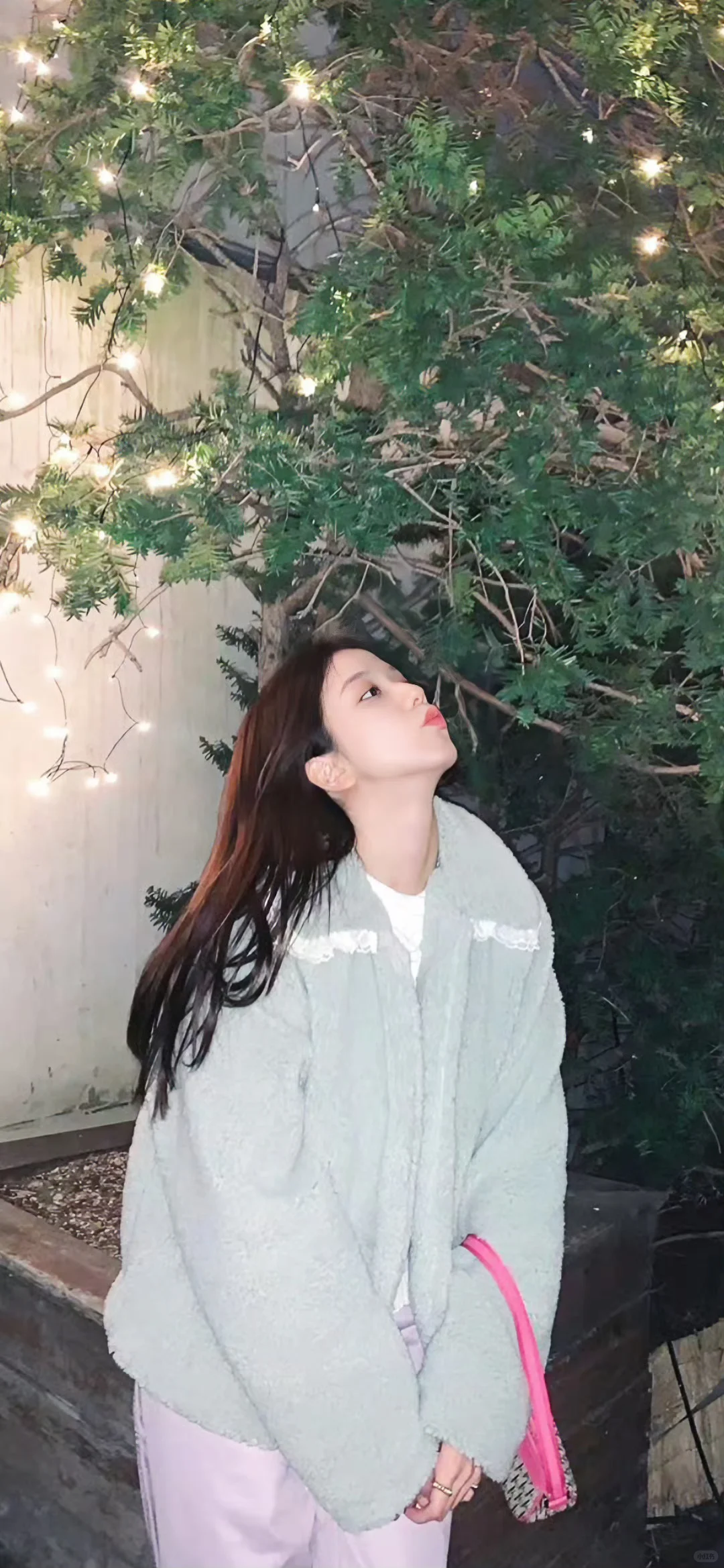 jisoo壁纸大放送🐰🍹