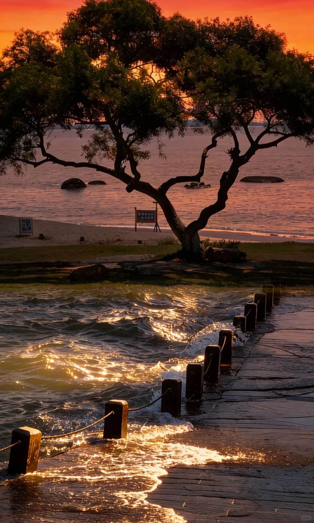 水是生命的源泉～欣赏水的魅力