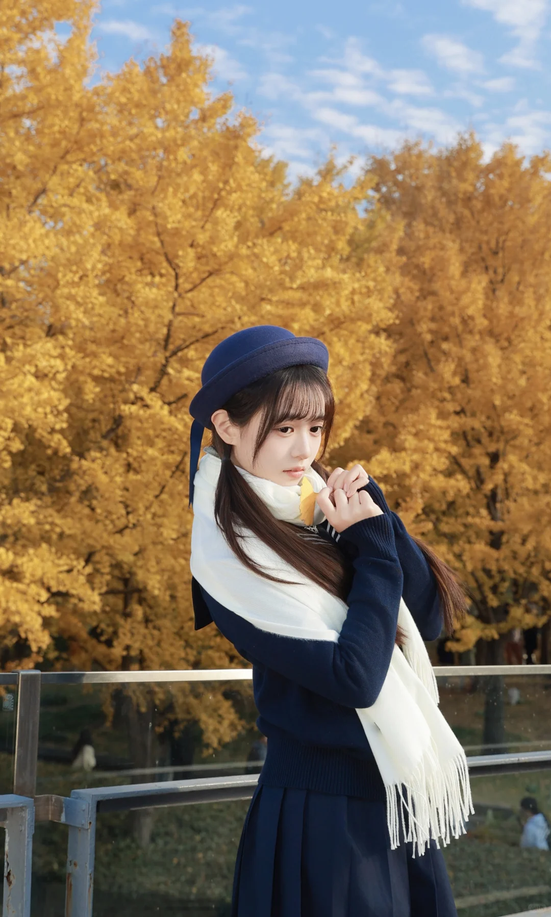 抓住秋天的尾巴，去拍银杏叶黄啦🍂