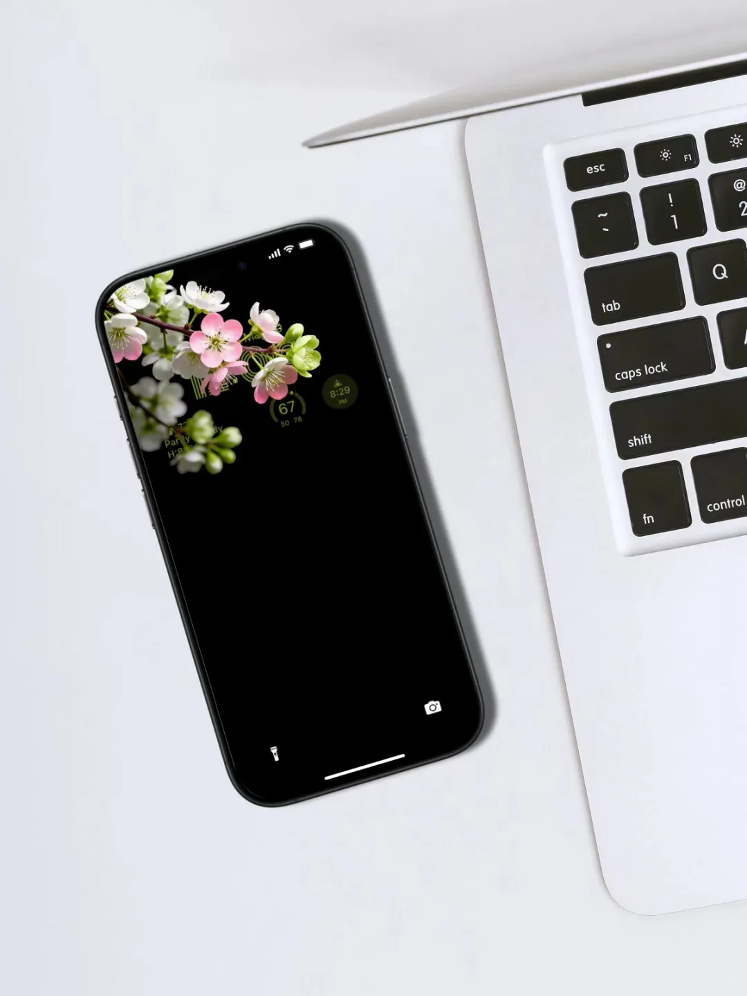 简约高级感｜一树花开～飘粉