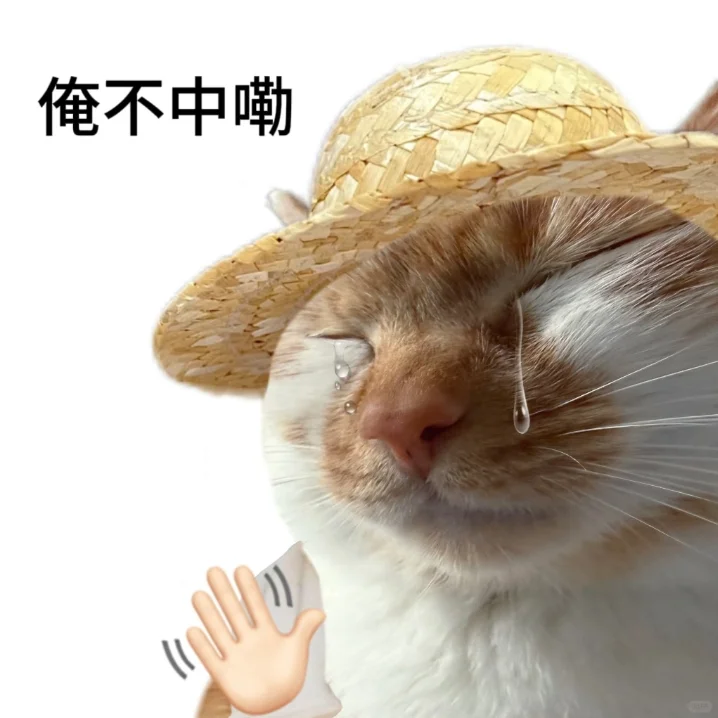 老实人专用表情包献给各位