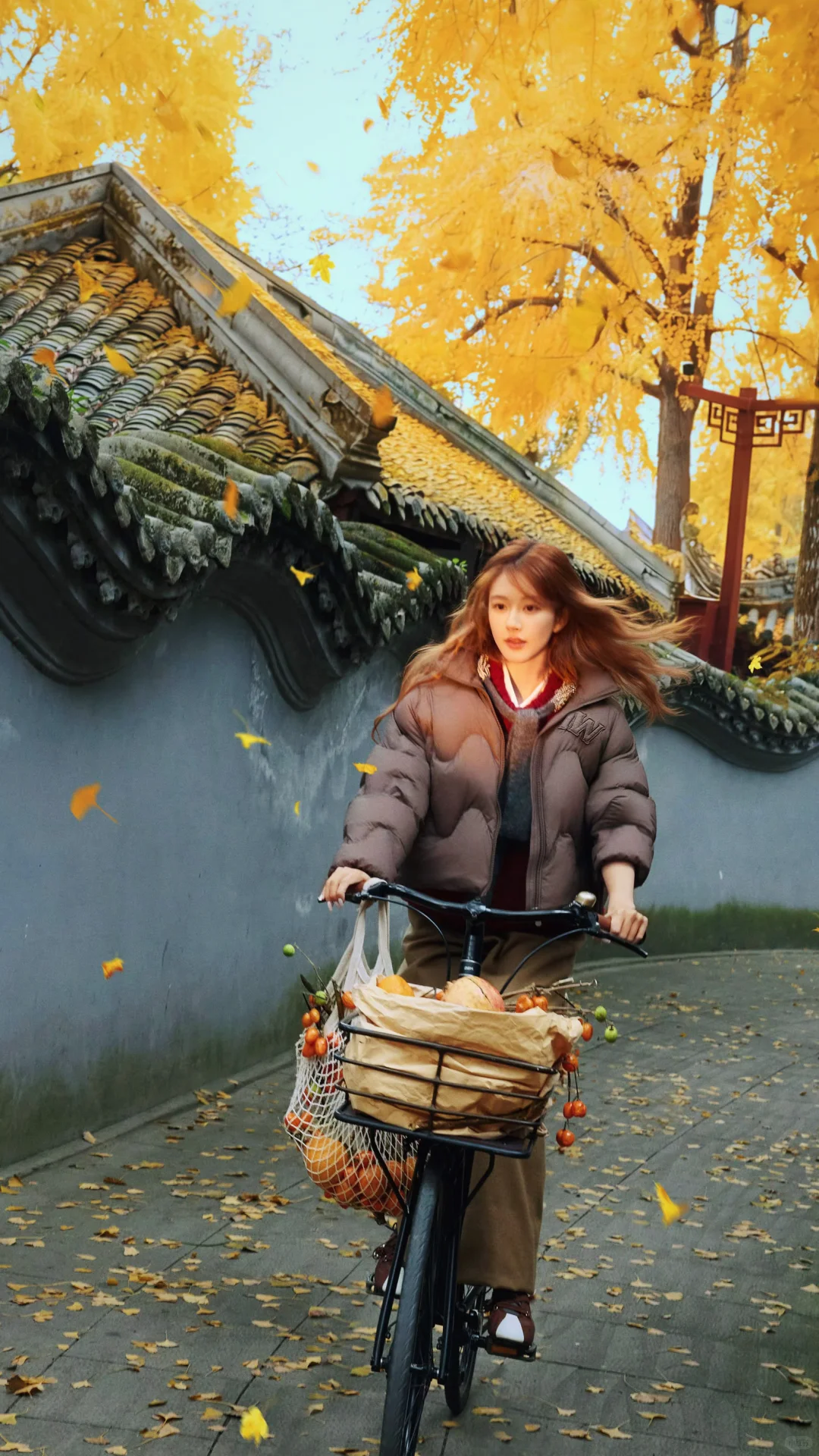 赵露思上城士/自修壁纸10p