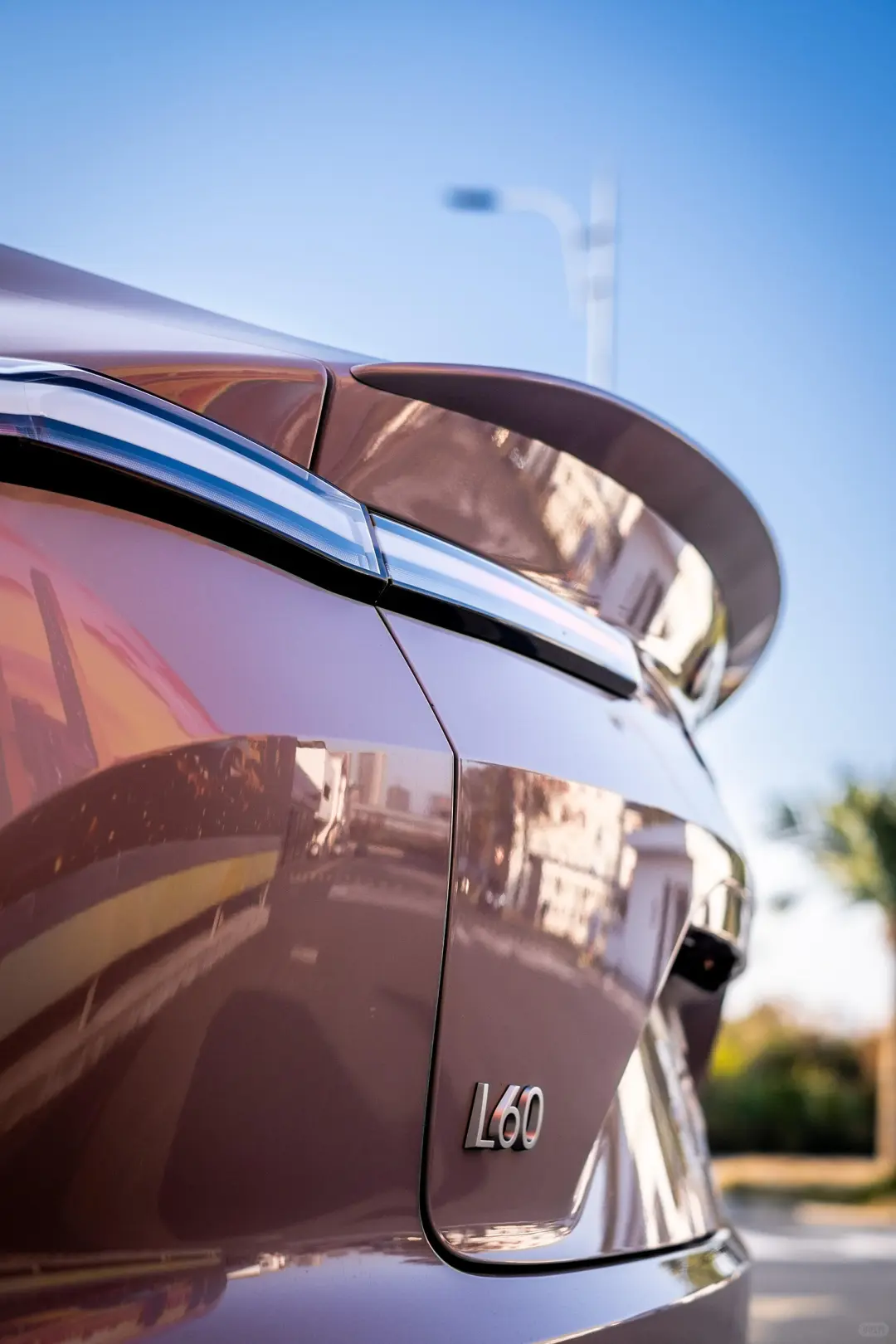 12月份的乐道L60太香了