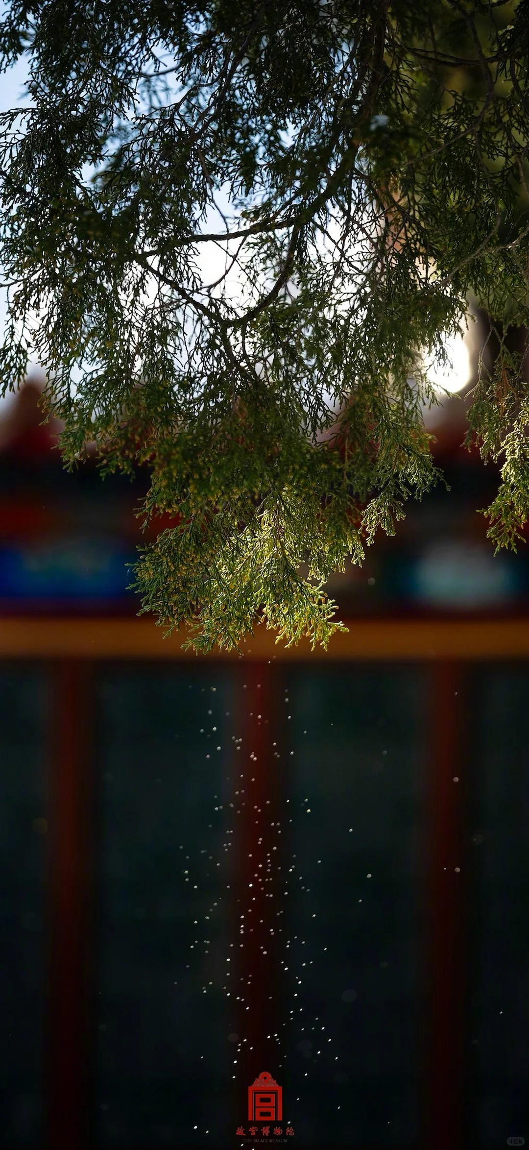 收藏这组壁纸，等于拥有了故宫雪季的入场券