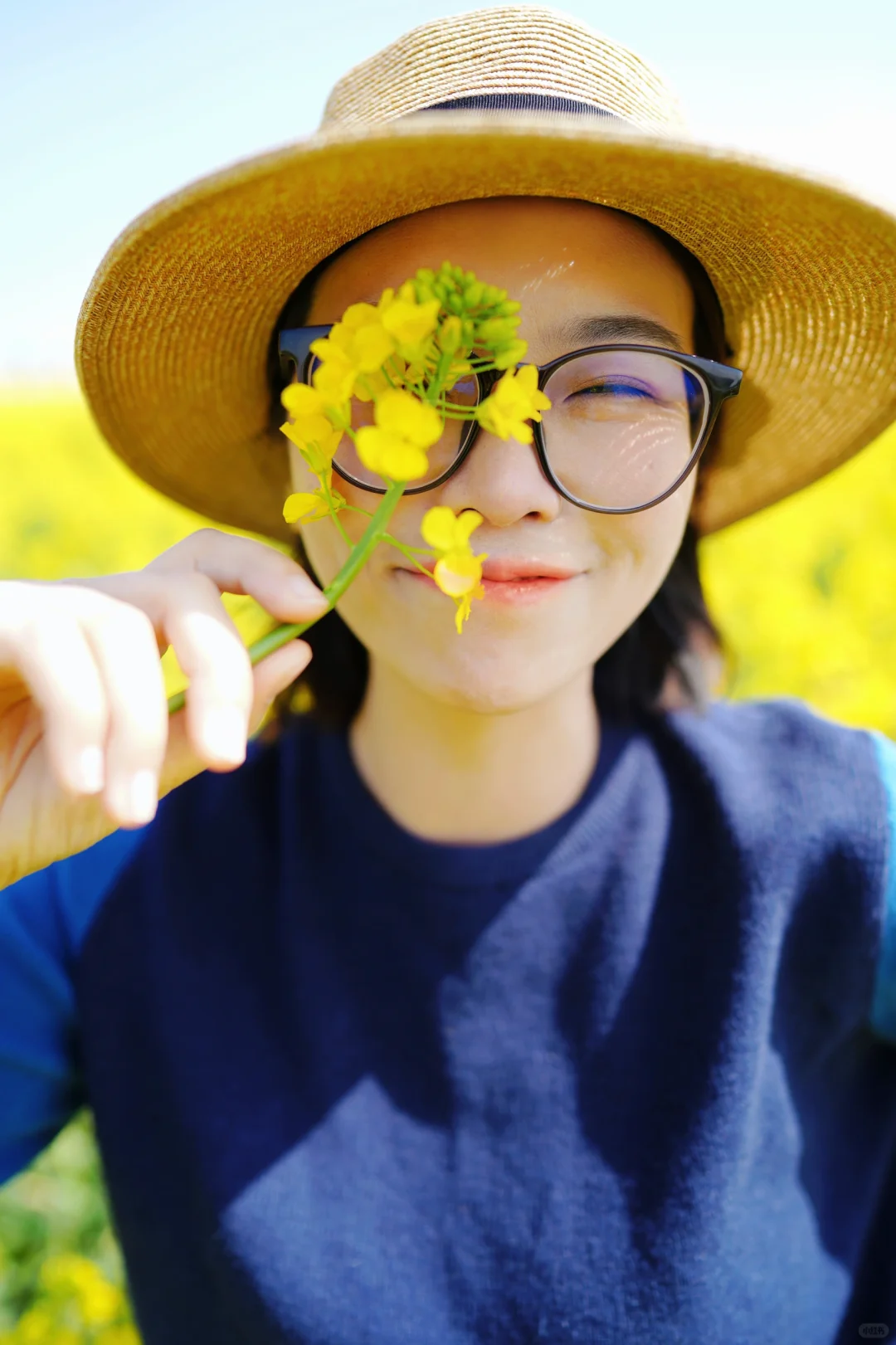 真的可以称之为花“海”的一组油菜花照片