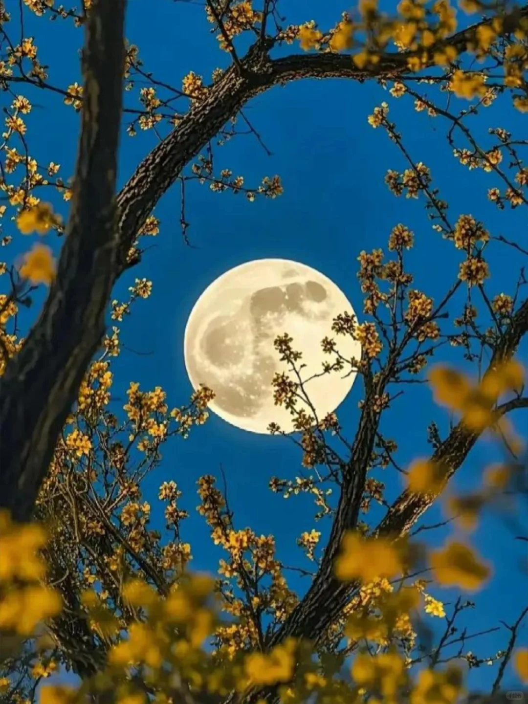 这是日月的浪漫约会