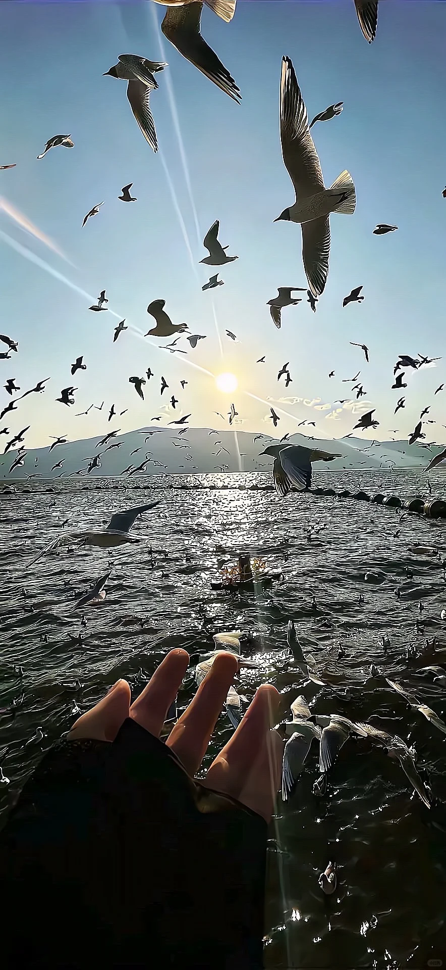 Share | iPhone景深壁纸