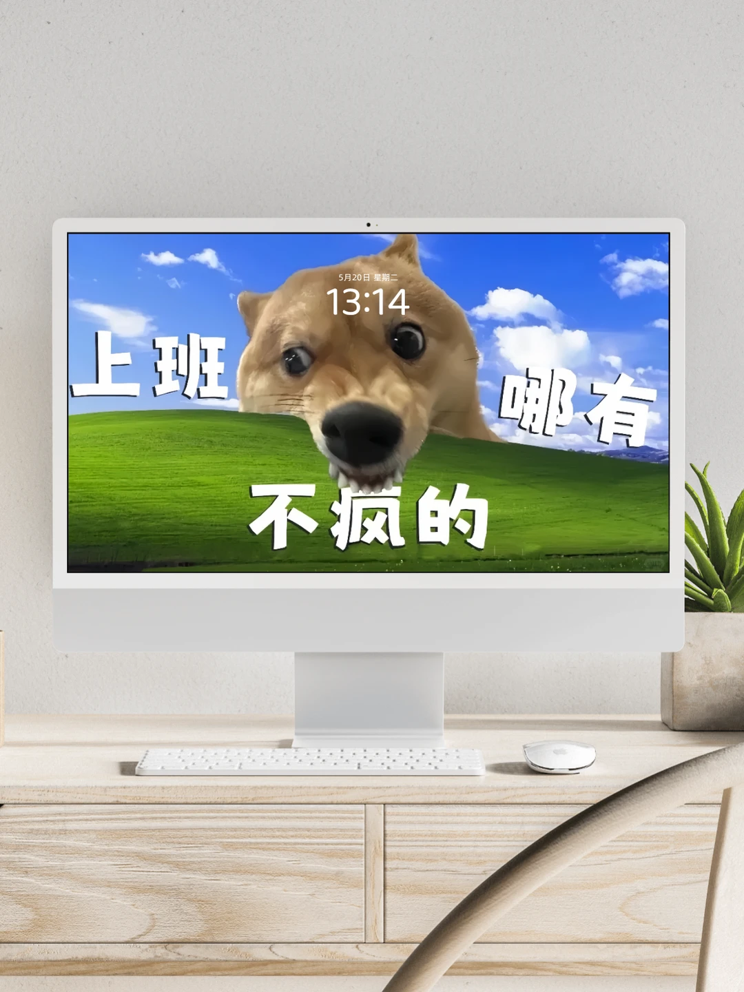 发疯壁纸‖堪比打工人