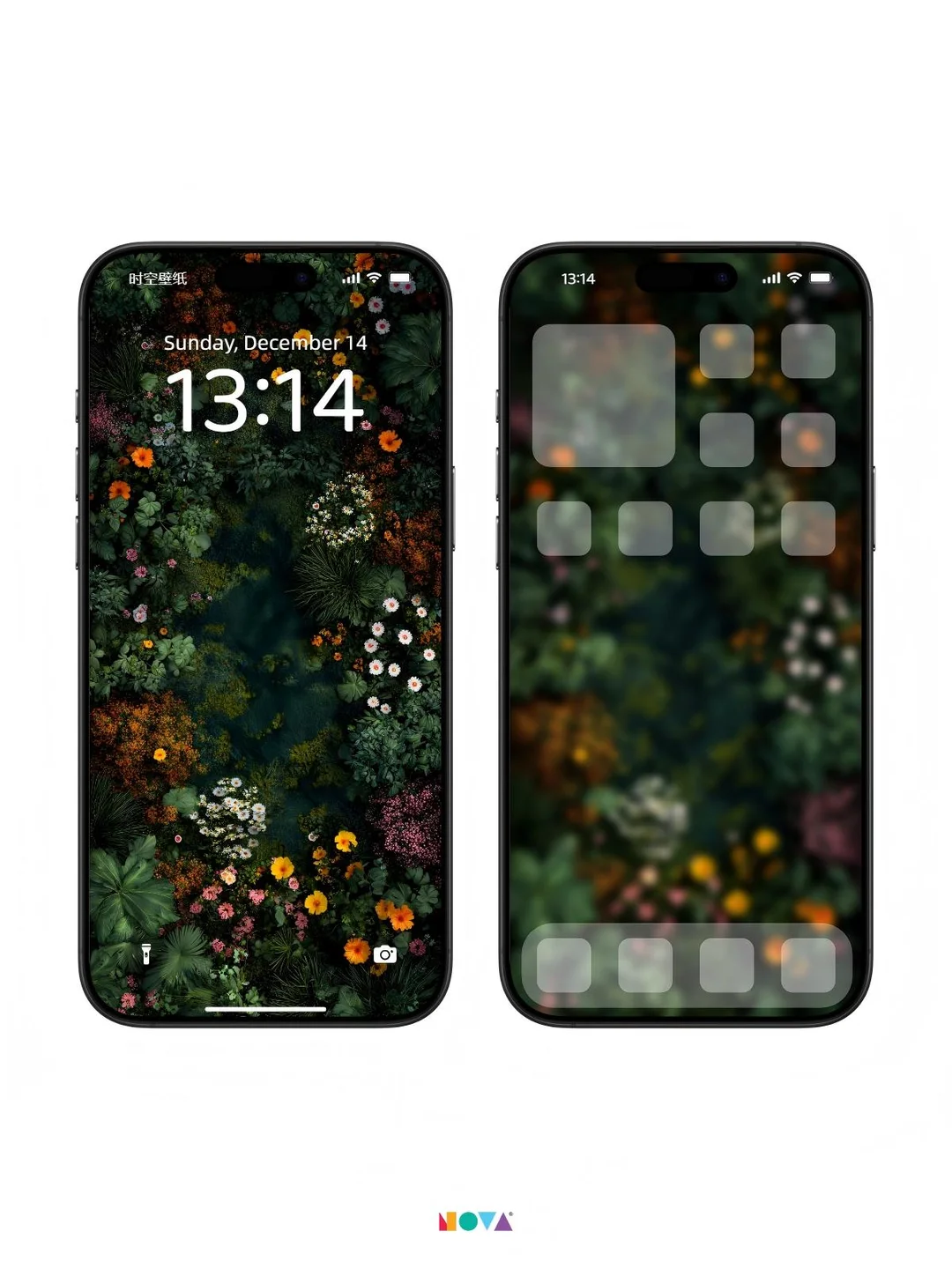 繁林秘境｜手机壁纸｜197