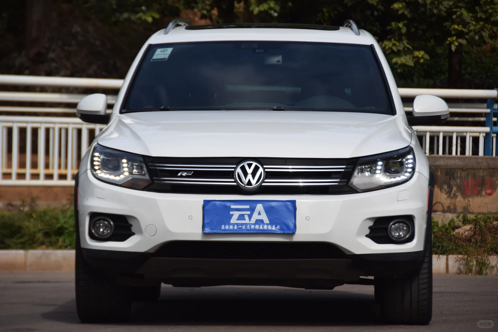 德国美少女—进口大众途威