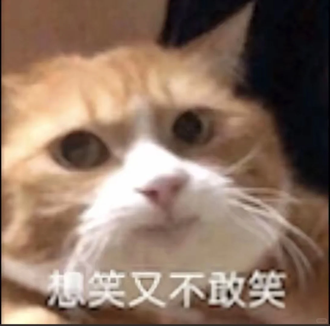 可爱猫咪表情包分享！