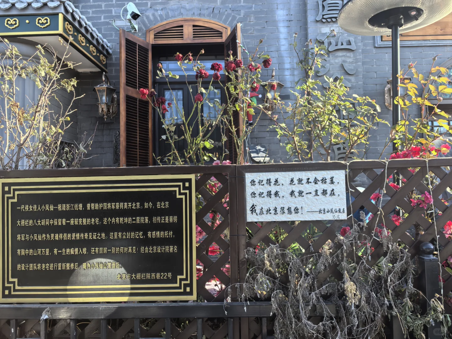 属于中国女人的冬日温馨浪漫🏵旗袍下午茶