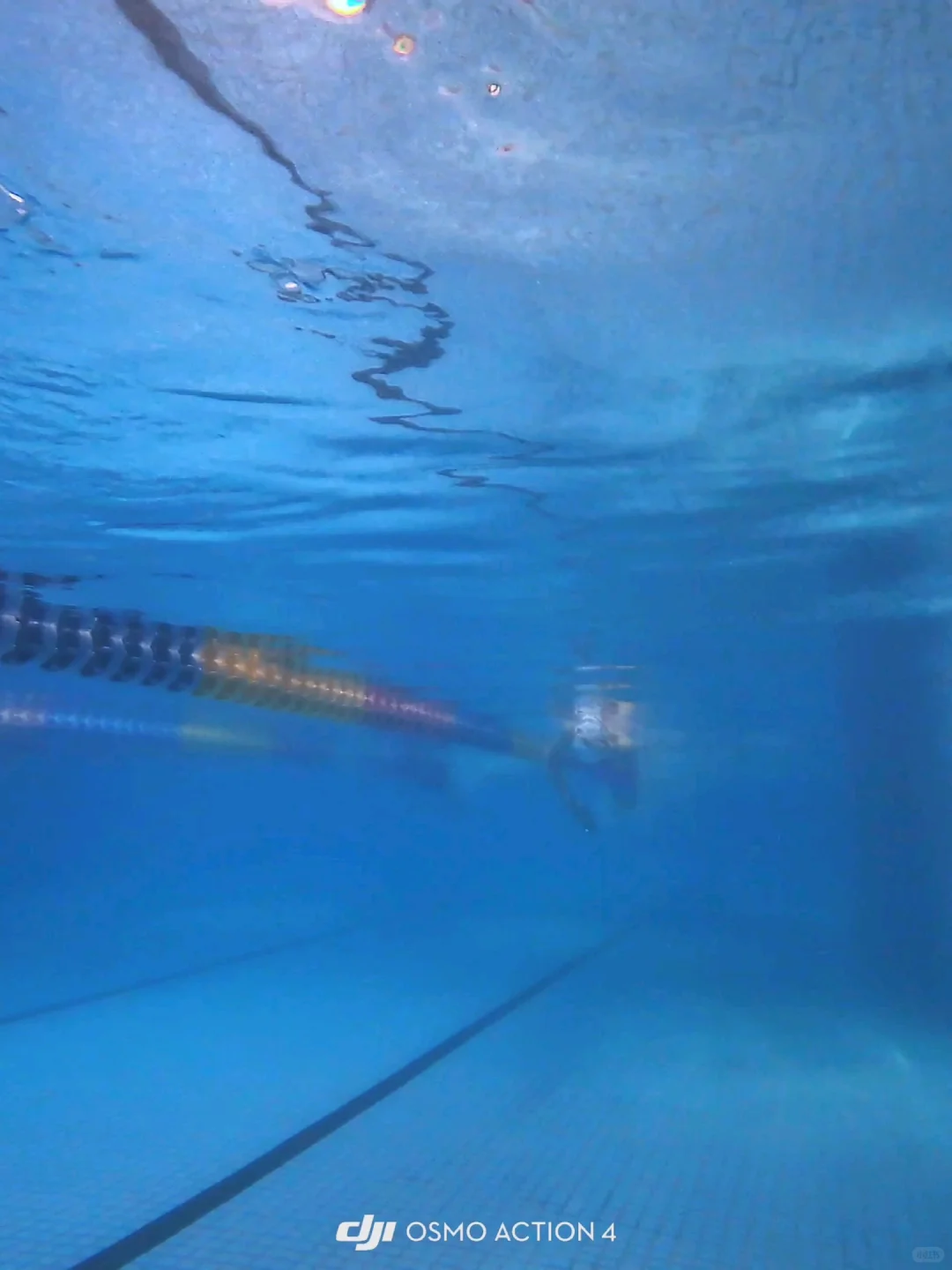 live︳好丑的自由泳和蝶泳腿