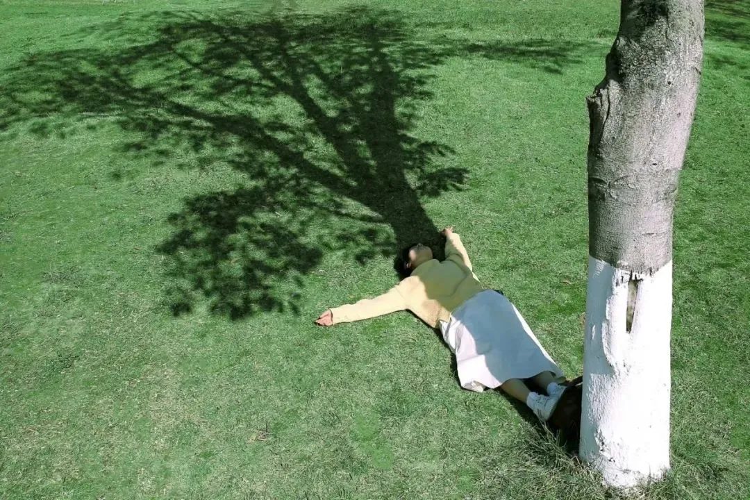 电脑ipad壁纸丨换个绿色壁纸吧