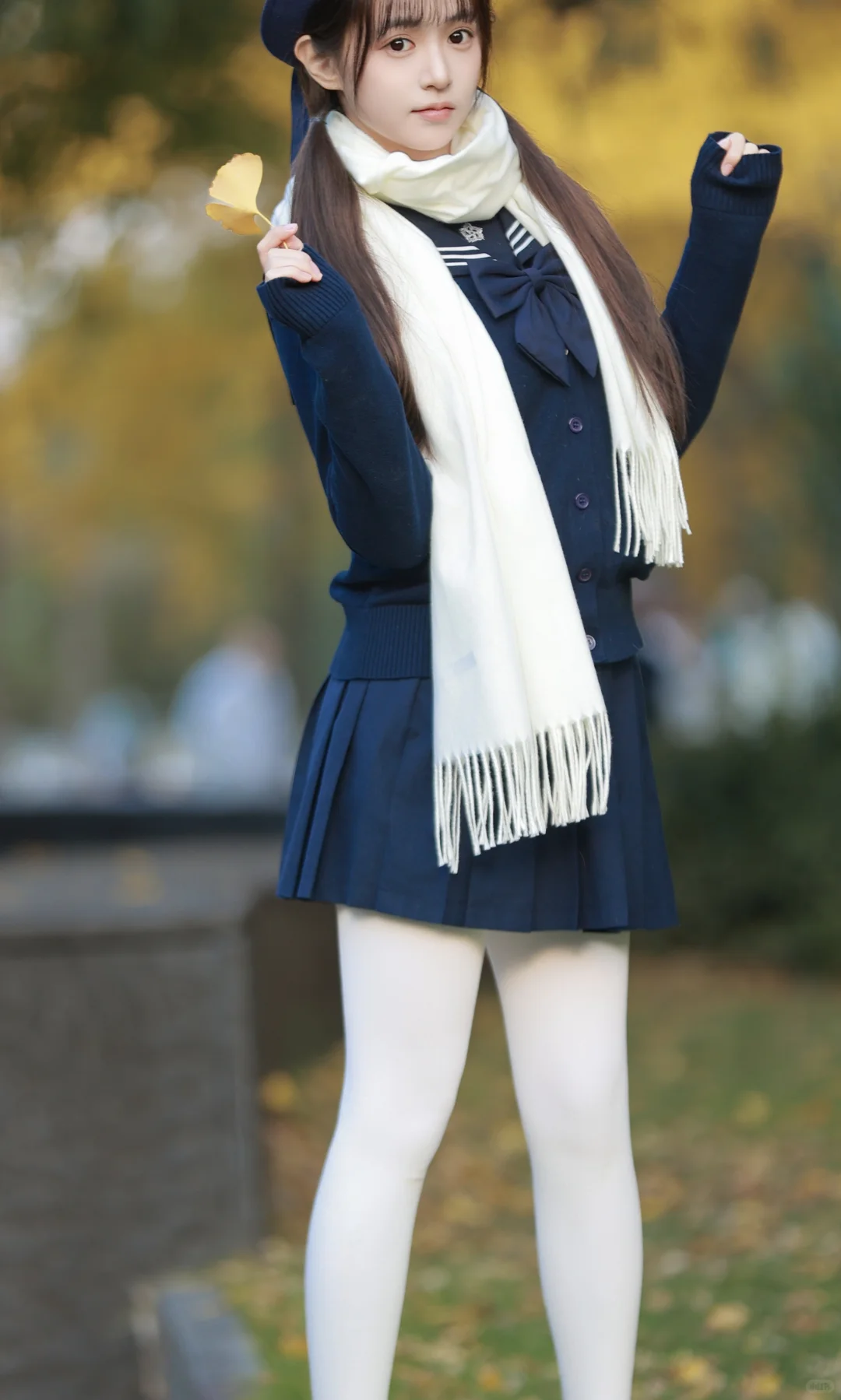 抓住秋天的尾巴，去拍银杏叶黄啦🍂