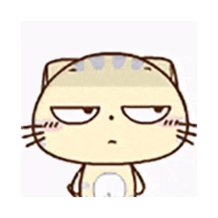 CC猫表情包｜这一路的麻辣鲜香只有自己知道