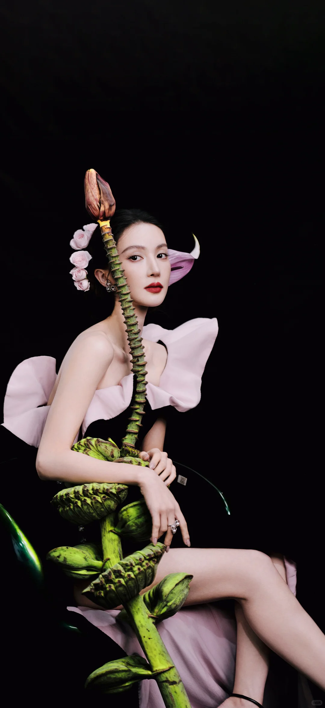 超清手机壁纸明星系列-金晨