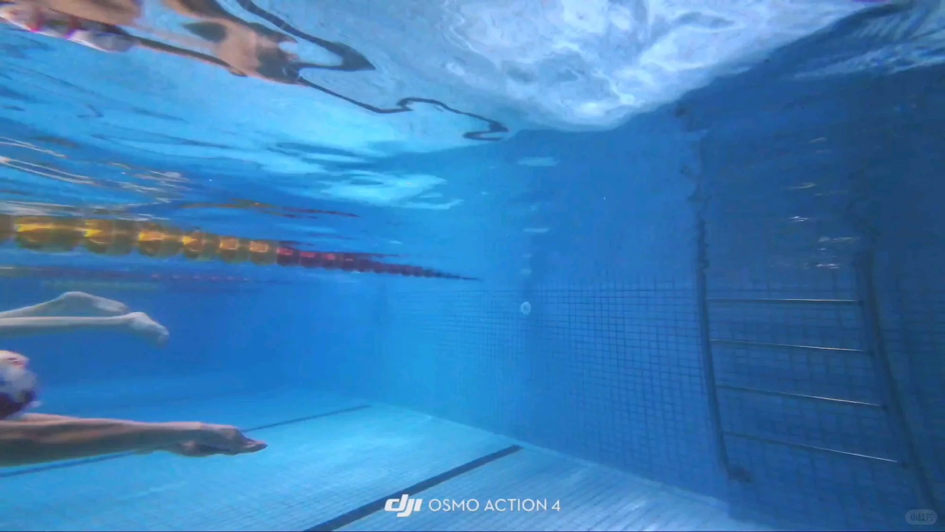 live︳好丑的自由泳和蝶泳腿