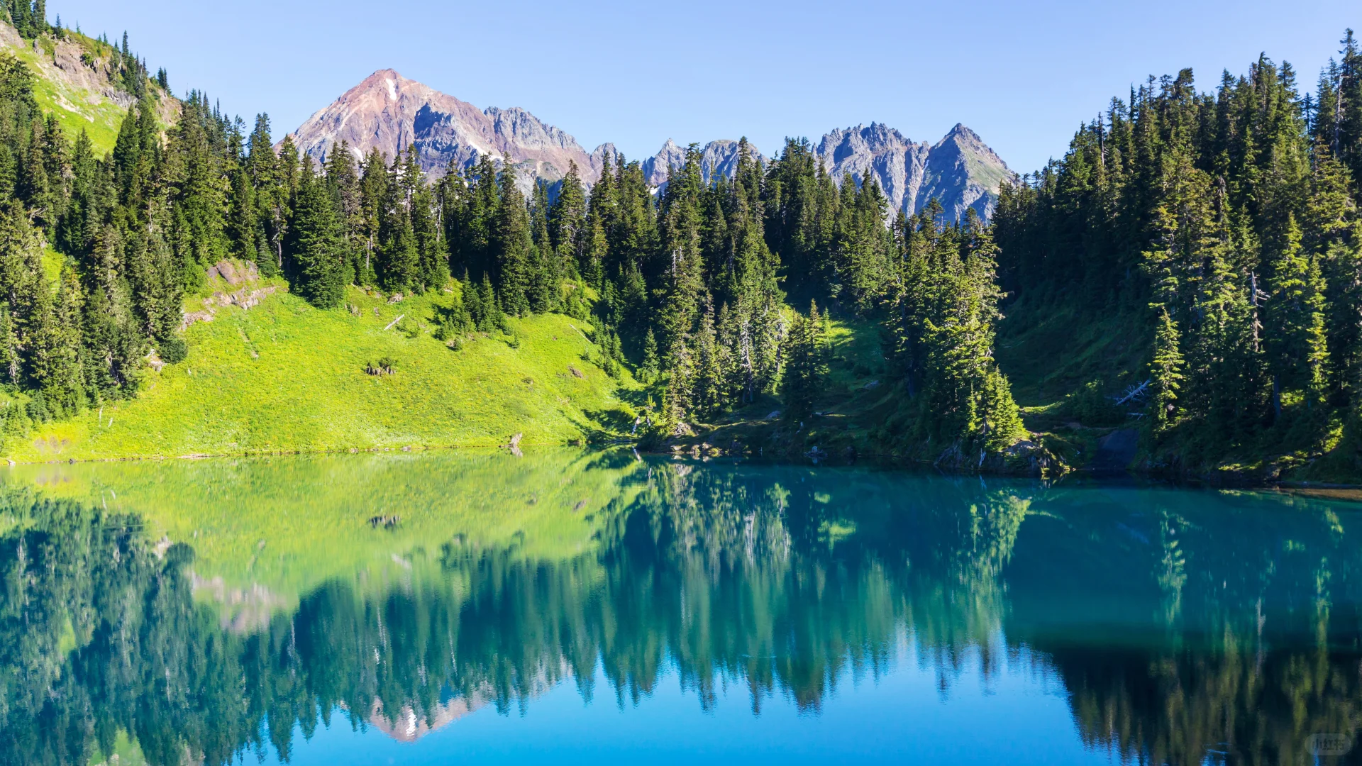 电脑ipad壁纸丨换个绿色壁纸吧