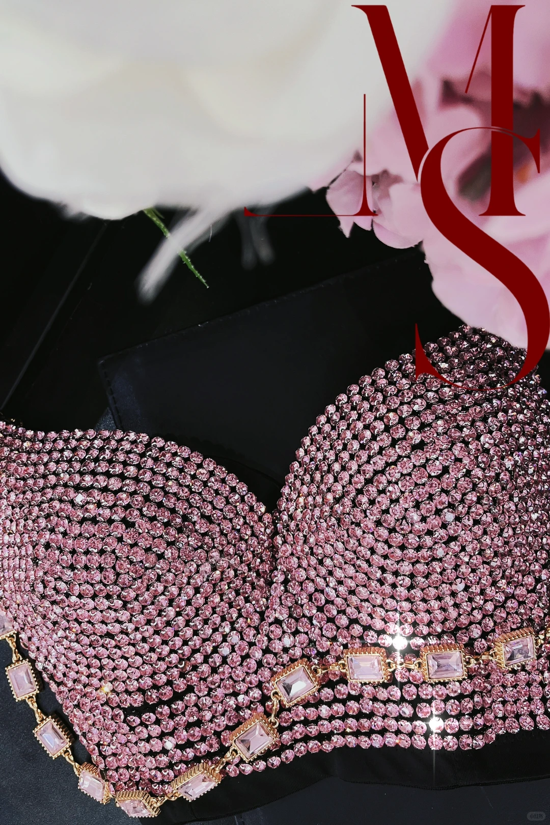 果然还得是我那又粉又闪的鱼骨胸衣（九）