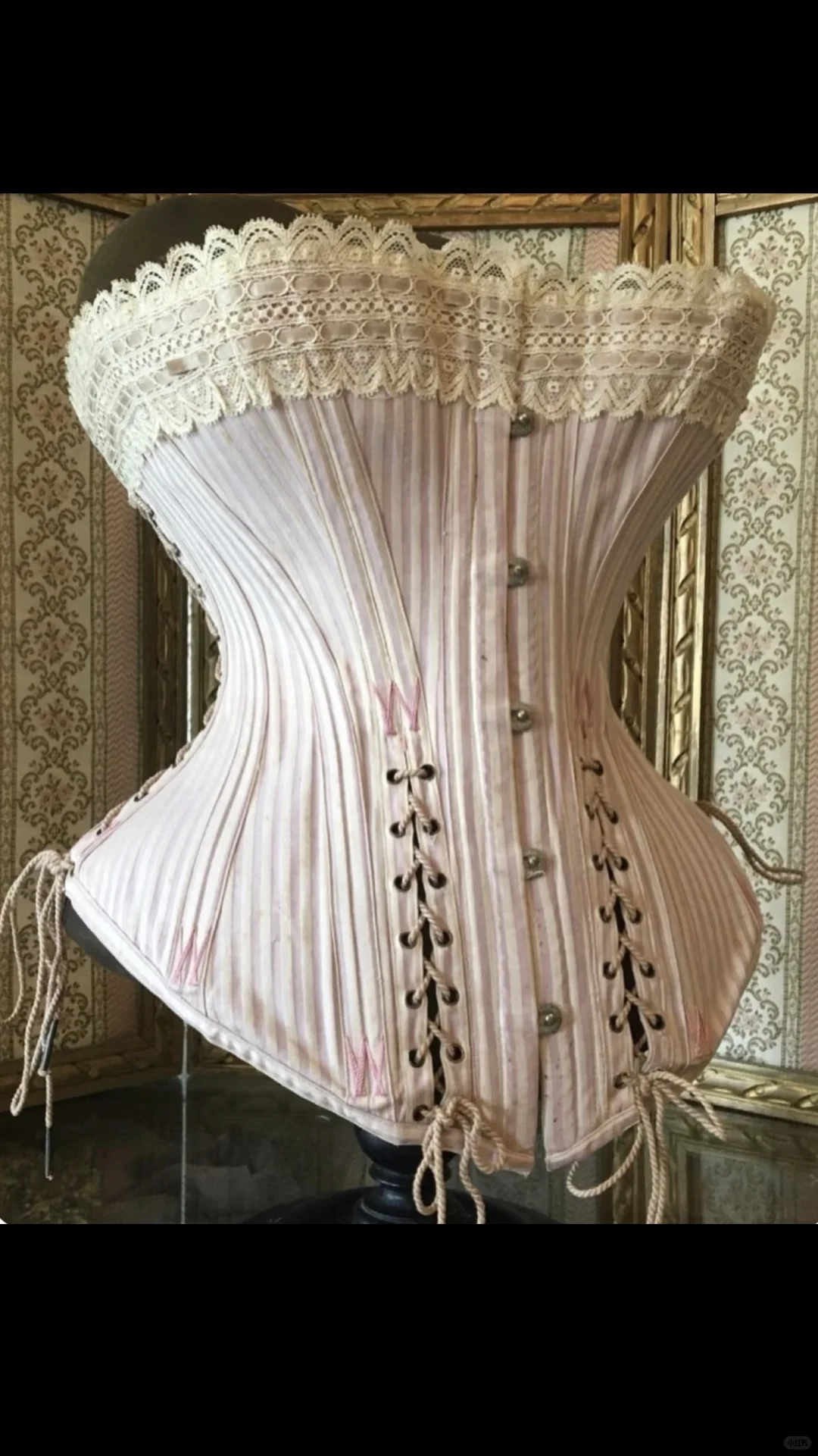 每日审美❣真是被古董鱼骨胸衣惊艳到失语！