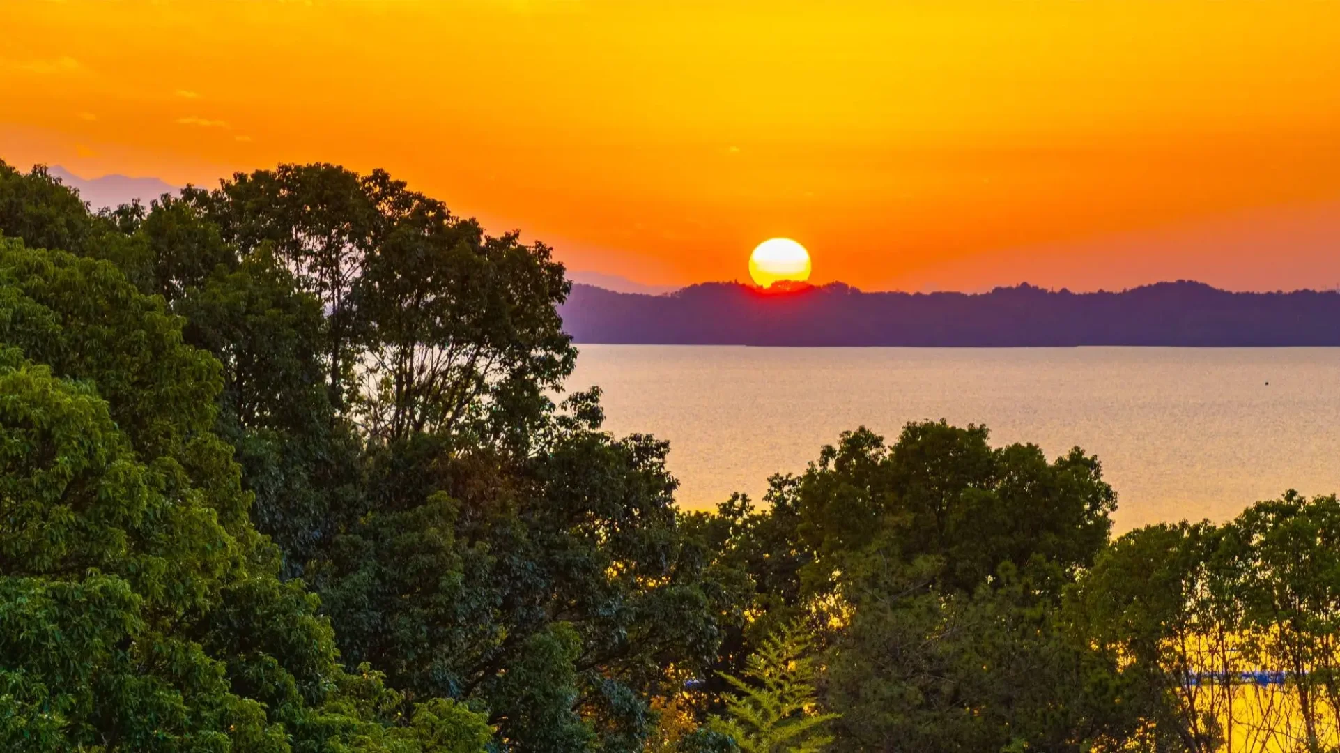 超级绝美的壁纸！