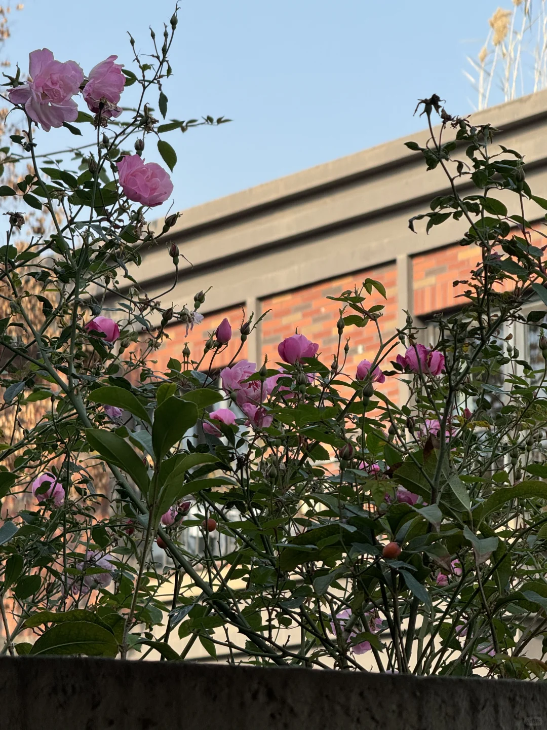 力量训练对于一个女人来说太重要了