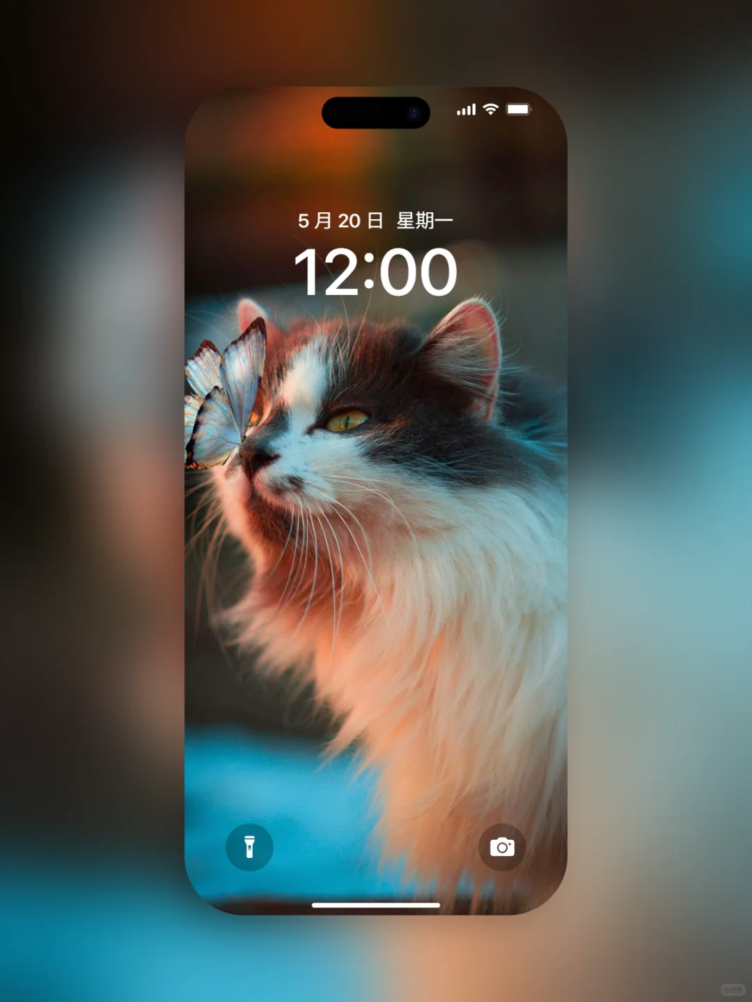 𝐒𝐡𝐚𝐫𝐞｜iPhone壁纸272期