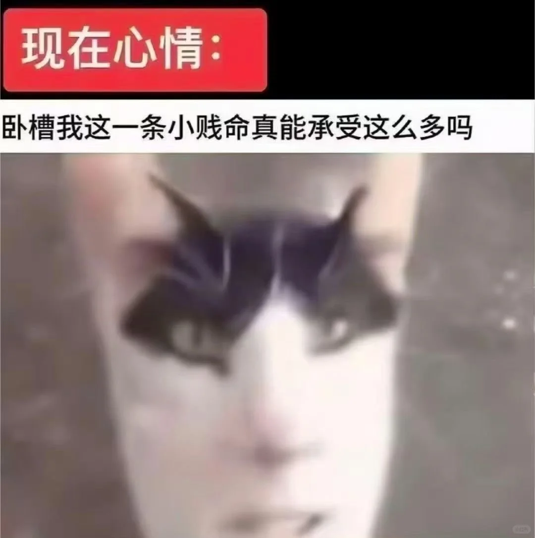 存了点看起来很命苦的表情包