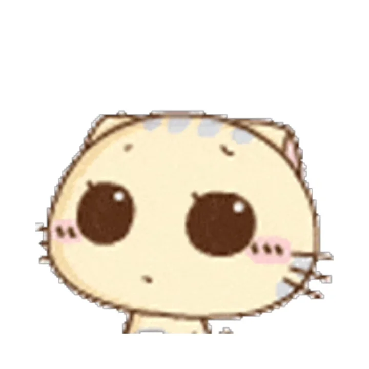 CC猫表情包｜这一路的麻辣鲜香只有自己知道