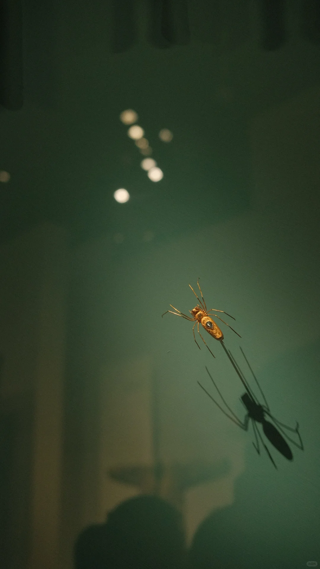 来这里的人都是理直气壮的拜金女！