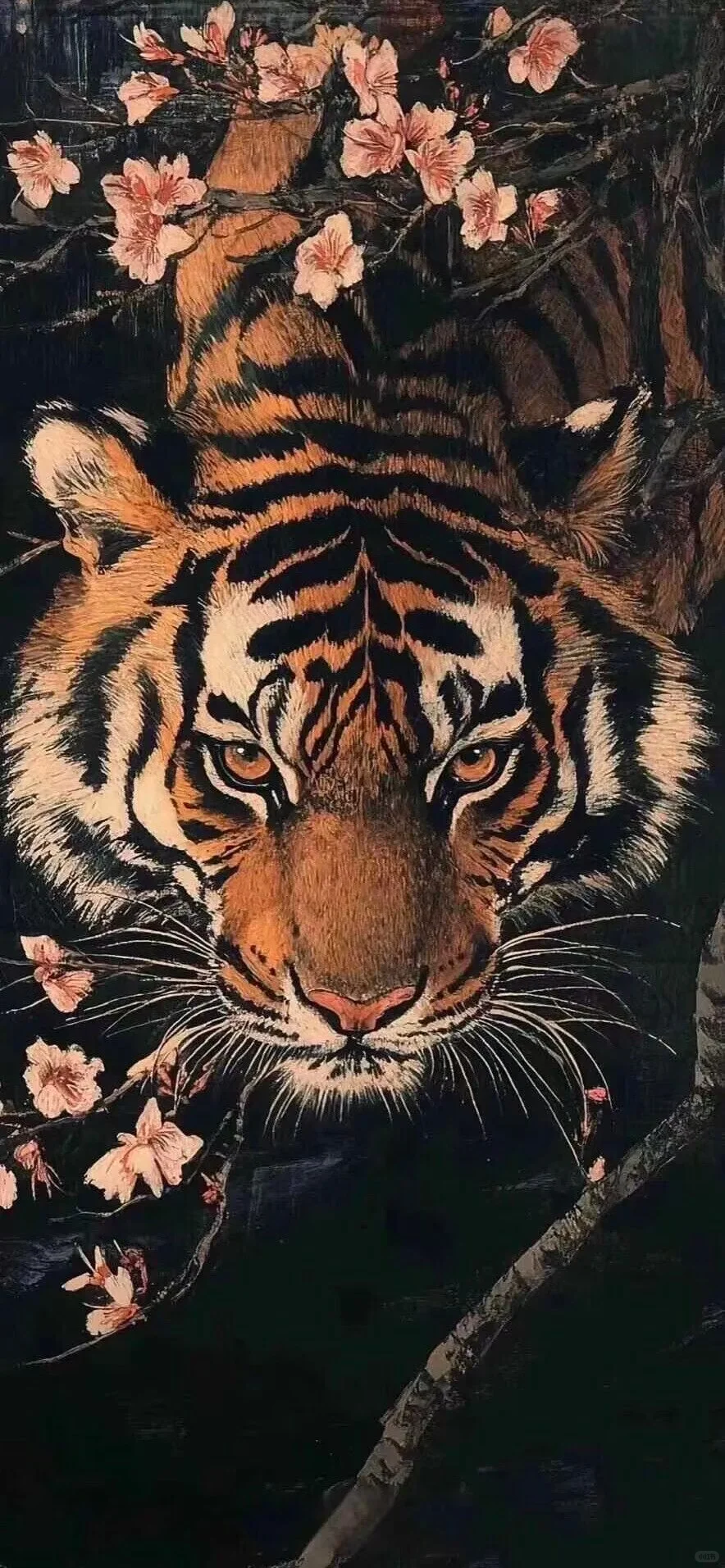 𝐒𝐡𝐚𝐫𝐞｜精选锁屏壁纸