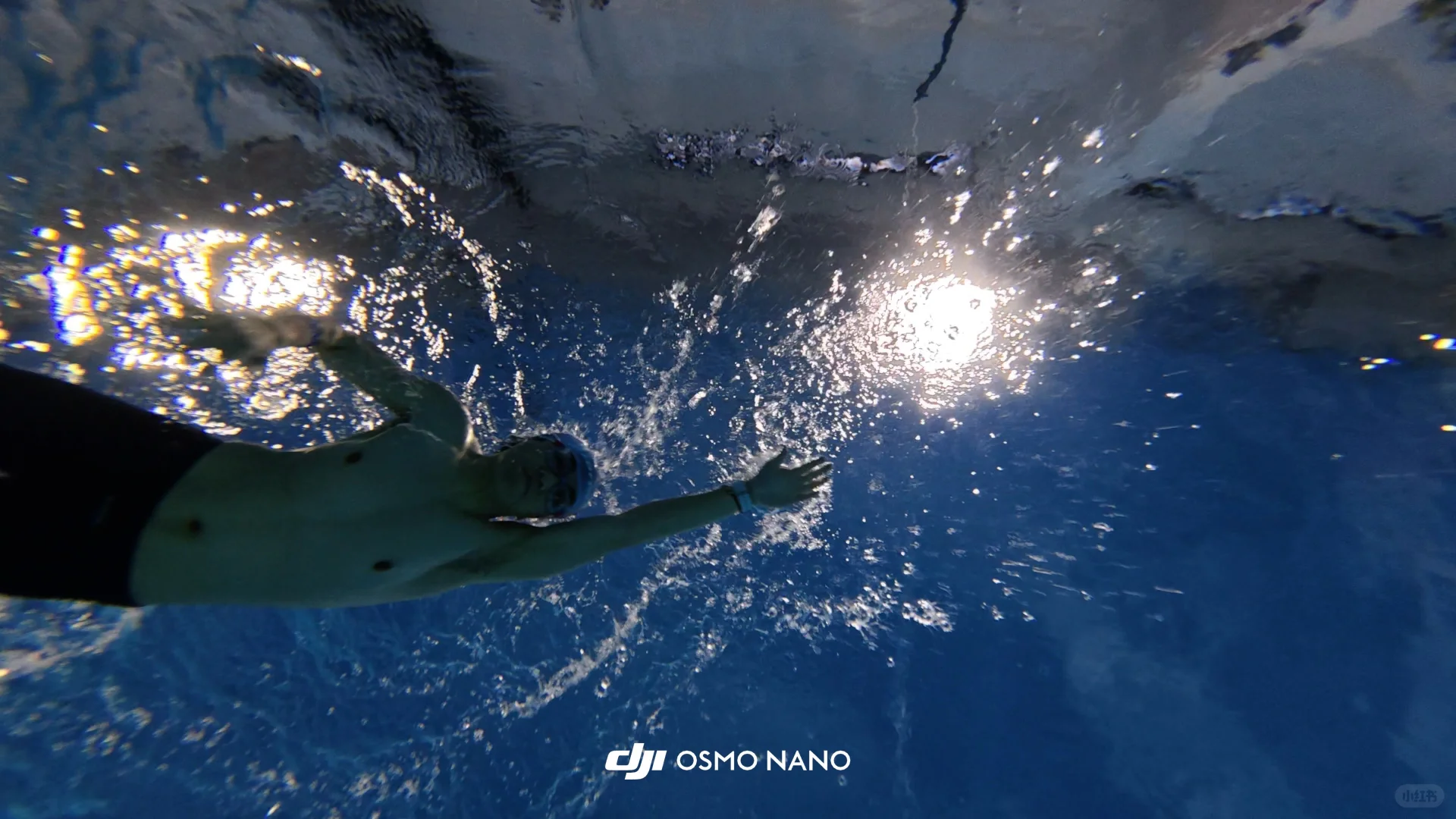 本课题组团建地点在泳池