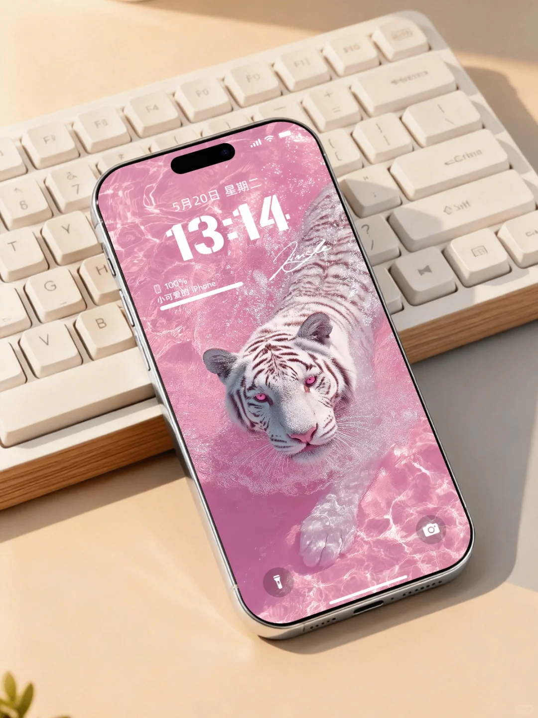 粉白老虎壁纸